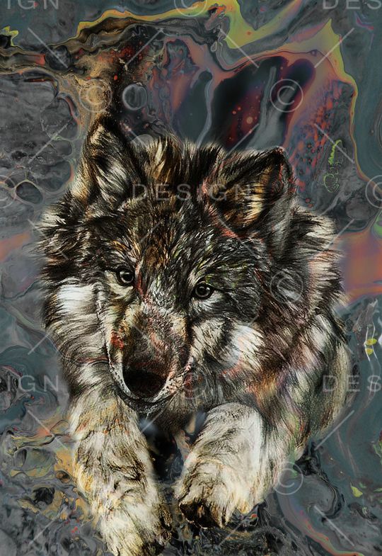 大牌男装印花华亿平台图片