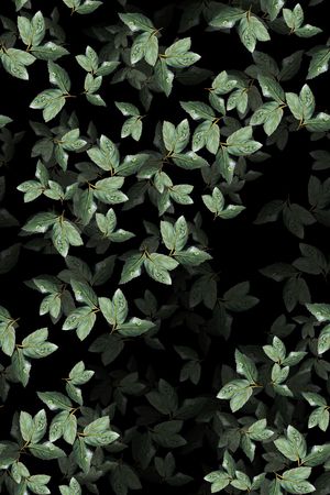 绿植树叶印花华亿平台图片