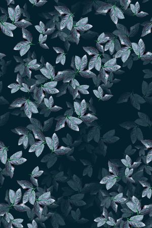 绿植树叶印花华亿平台图片