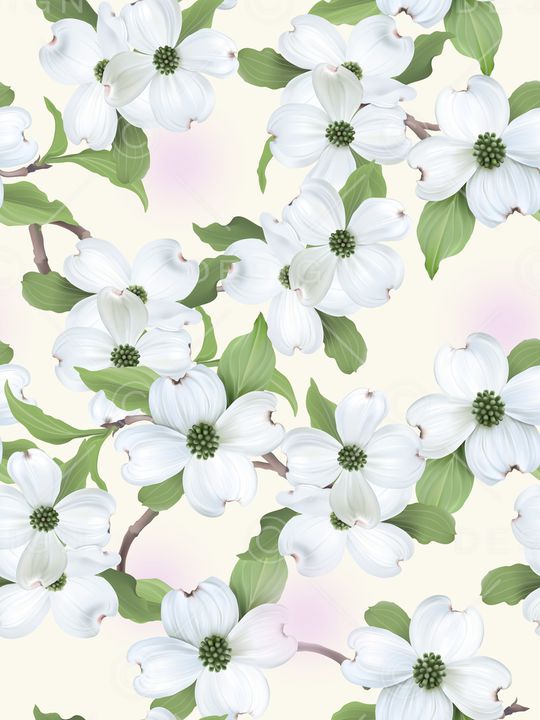 清爽底花卉印花华亿平台图片