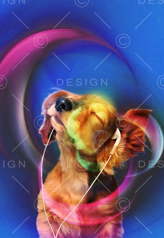 潮牌印花华亿平台图片