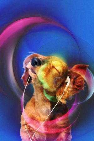 潮牌印花华亿平台图片