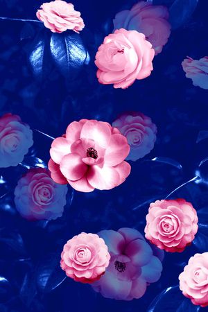 茶花印花华亿平台图片