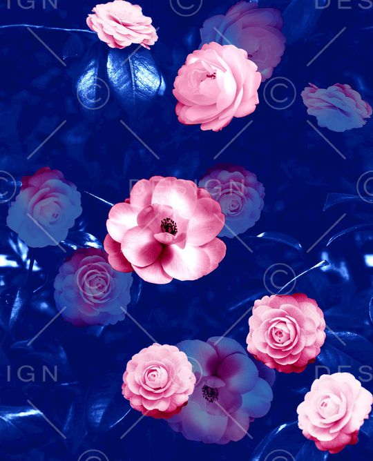 茶花印花华亿平台图片