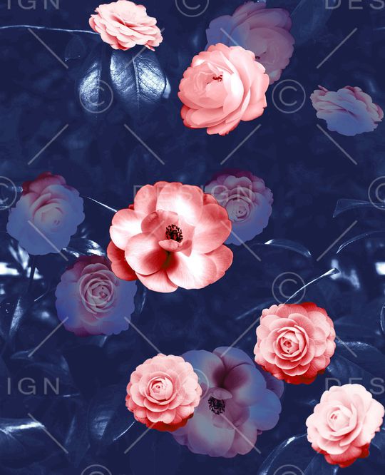 梅花印花华亿平台图片