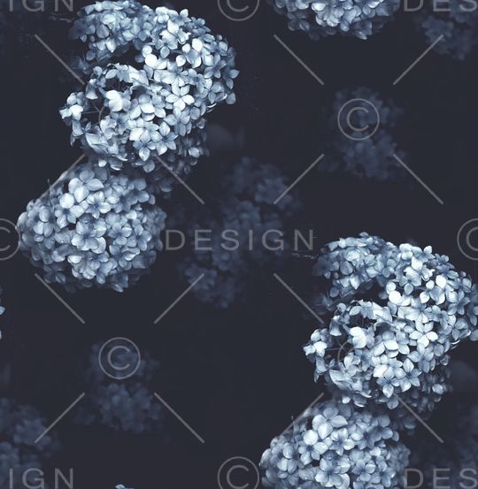 梅花印花华亿平台图片