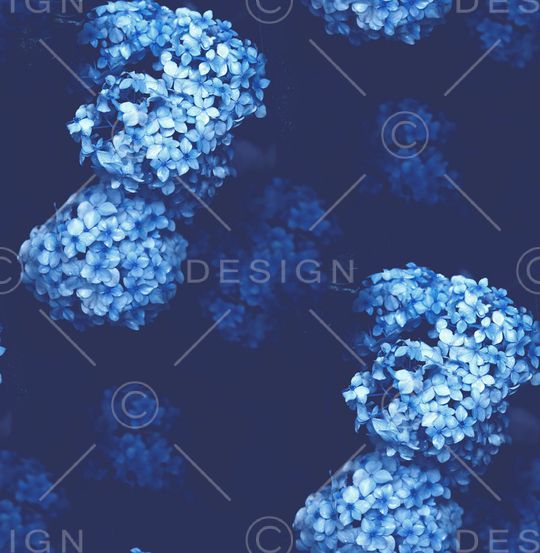 梅花印花华亿平台图片