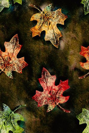 复古印花华亿平台图片