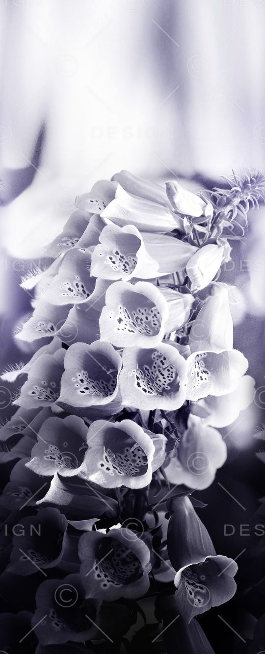 中国风定位花印花华亿平台图片