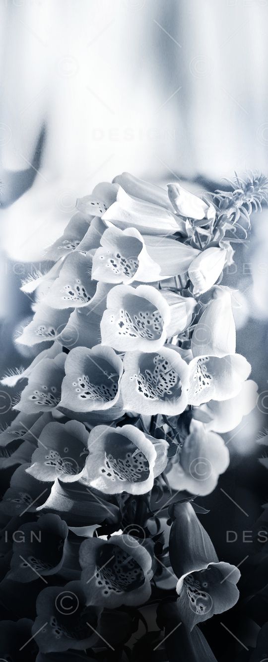 中国风定位花印花华亿平台图片