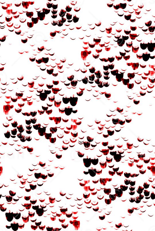 牡丹印花华亿平台图片