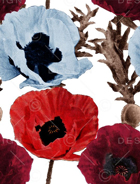 康乃馨印花华亿平台图片