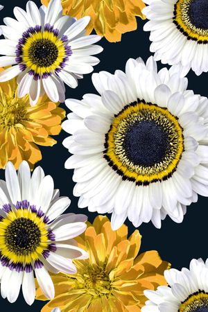 康乃馨印花华亿平台图片