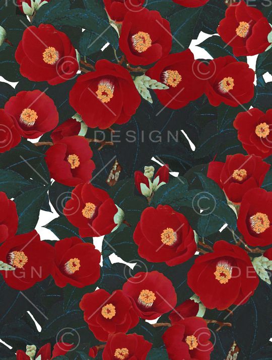 手绘花卉印花华亿平台图片