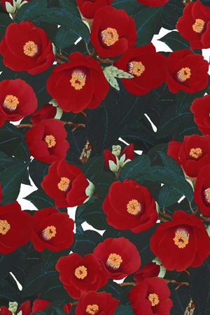 手绘花卉印花华亿平台图片