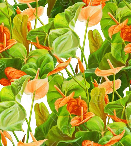 康乃馨印花华亿平台图片