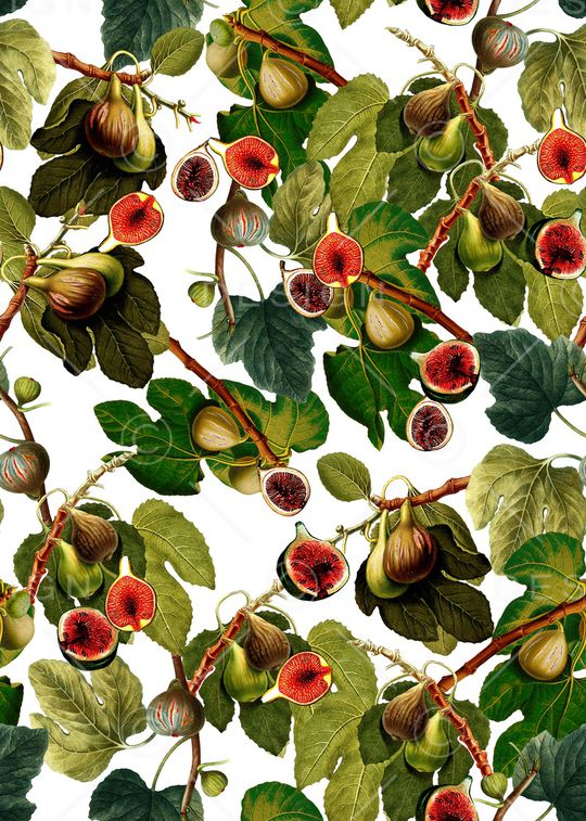 水果印花华亿平台图片