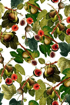 水果印花华亿平台图片