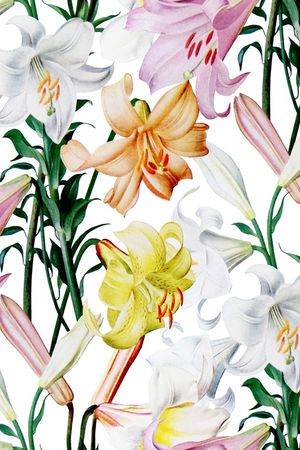 百合印花华亿平台图片