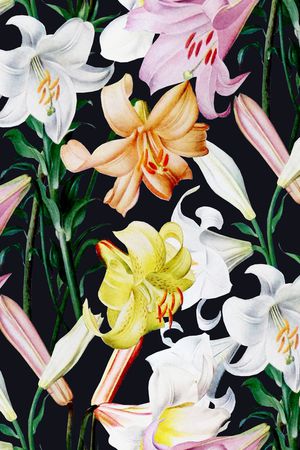 康乃馨印花华亿平台图片