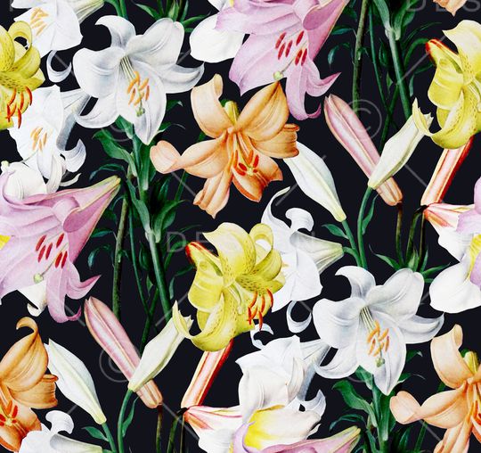 康乃馨印花华亿平台图片