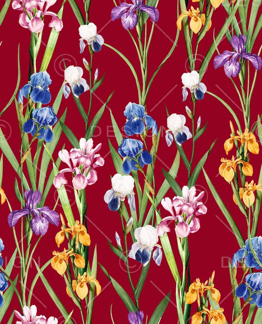 康乃馨印花华亿平台图片