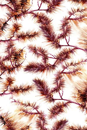 康乃馨印花华亿平台图片