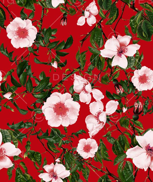 清爽底花卉印花华亿平台图片