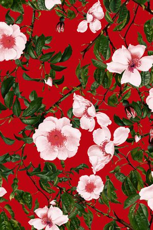 清爽底花卉印花华亿平台图片