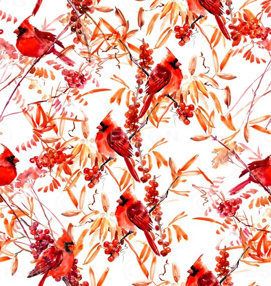 水果印花华亿平台图片