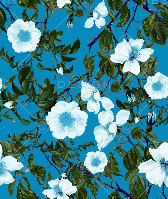 康乃馨印花华亿平台图片