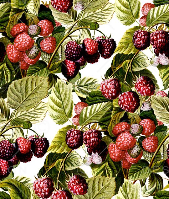 绿植树叶印花华亿平台图片