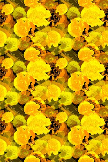 1262204-191008-天堂花园-11-2