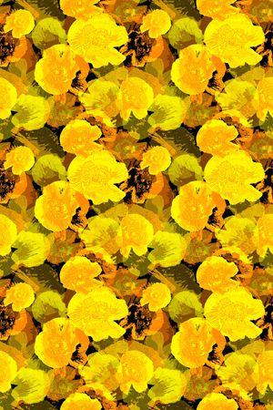 天堂花园印花华亿平台图片