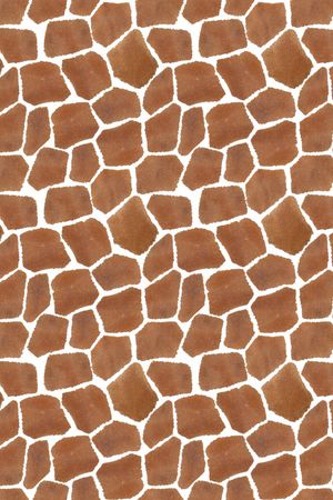 帆船印花华亿平台图片