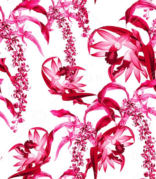 兰花印花华亿平台图片