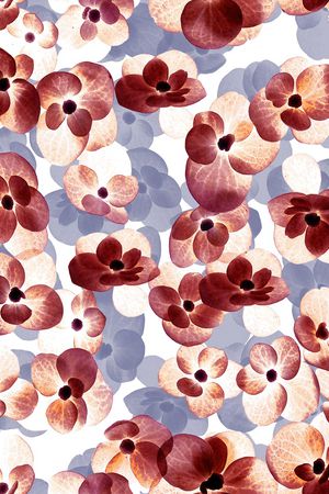 火柴印花华亿平台图片