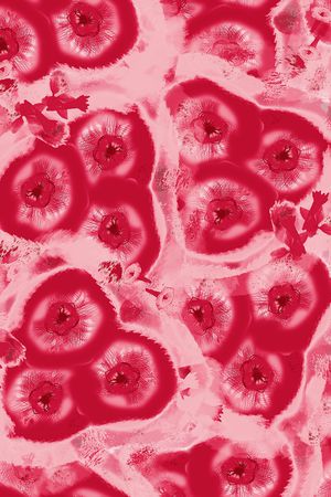 炫彩印花华亿平台图片