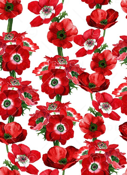 大牌风印花华亿平台图片