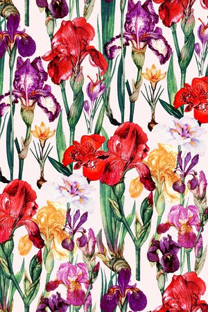 大牌风印花华亿平台图片