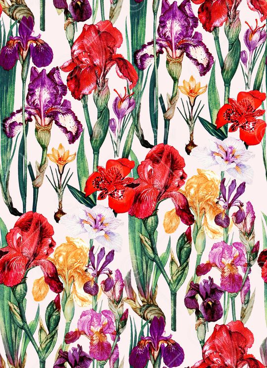 大牌风印花华亿平台图片