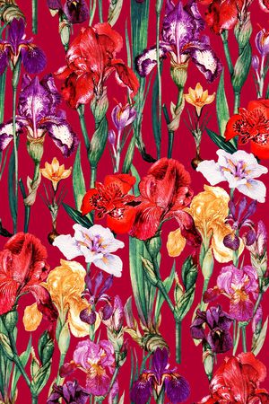 大牌风印花华亿平台图片