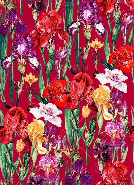 大牌风印花华亿平台图片