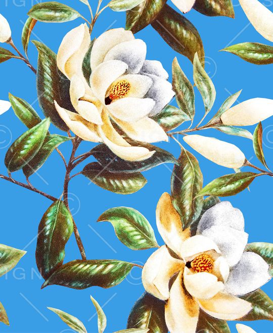 大牌风印花华亿平台图片