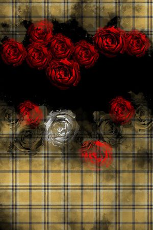 plaid印花华亿平台图片