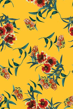 女装印花华亿平台图片