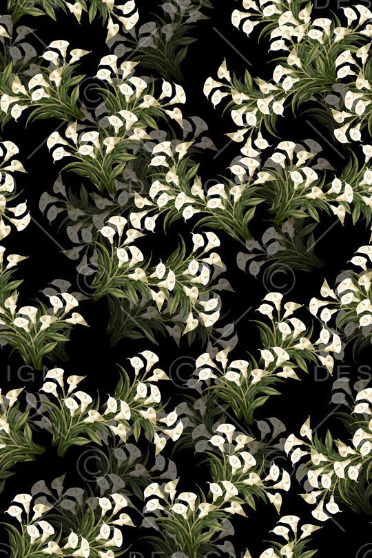 女装印花华亿平台图片