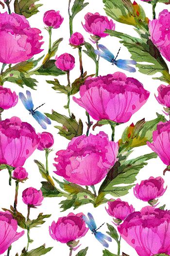 1263329-1964x40419-1