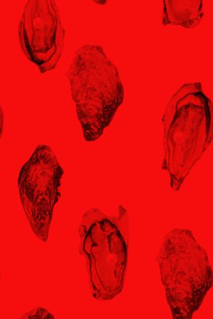 欧洲印花华亿平台图片