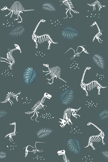 1264031-骷髅骨头